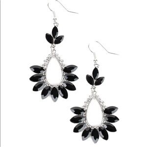 NWT Extra Exquisite Black Silver Earrings ⚫️